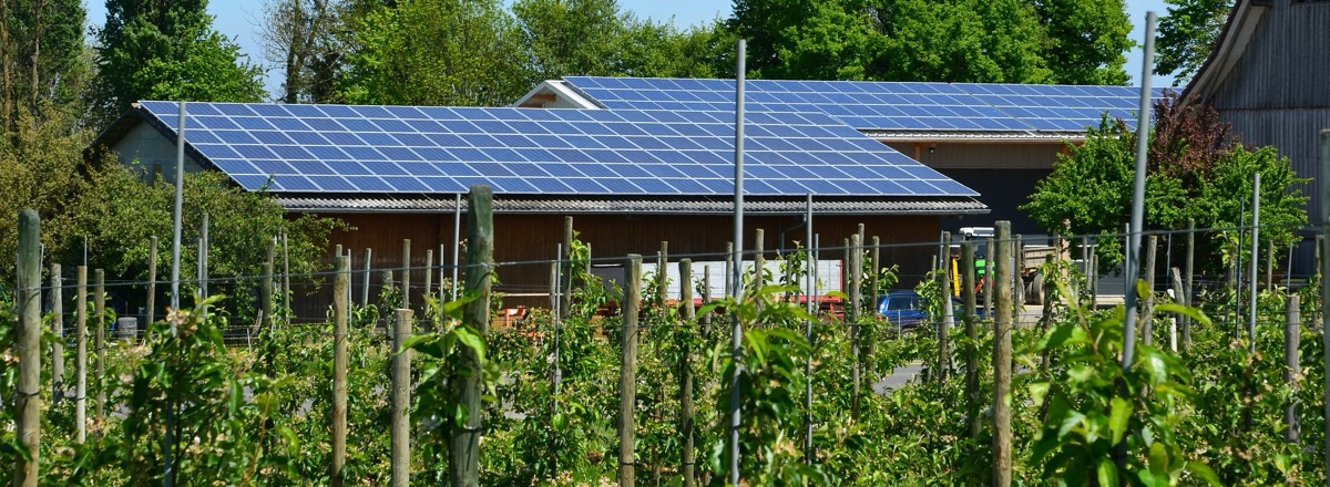 Solar-Anlage auf einem Gewerbedach in der Region Studen, installiert von Ulmann Heizungen.